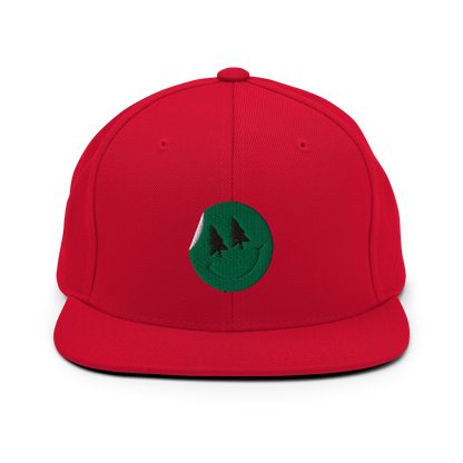 Christmas Snapback Hat